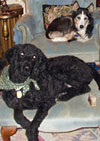Max and Sophie